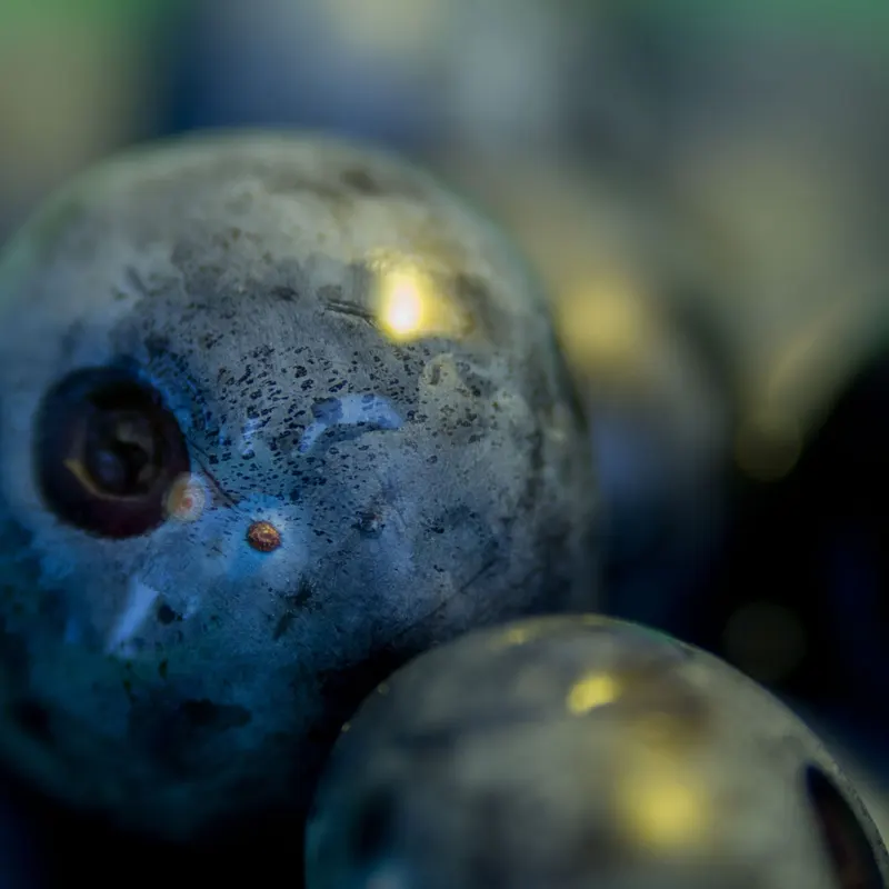 Essência Blueberry, imagem 2
