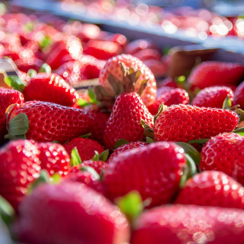 Essência Frutas Vermelhas, imagem 2